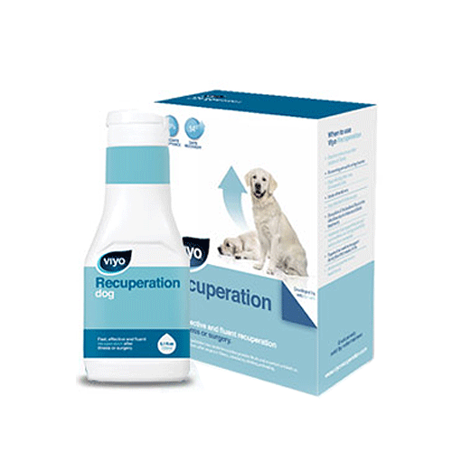 Viyo Recuperation напиток-пребиотик для собак